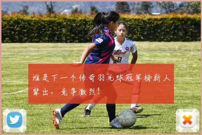 谁是下一个传奇羽毛球冠军榜新人辈出，竞争激烈！