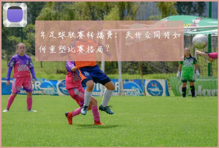 年足球联赛转播费：天价合同将如何重塑比赛格局？