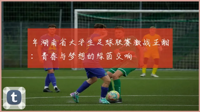 年湖南省大学生足球联赛激战正酣：青春与梦想的绿茵交响